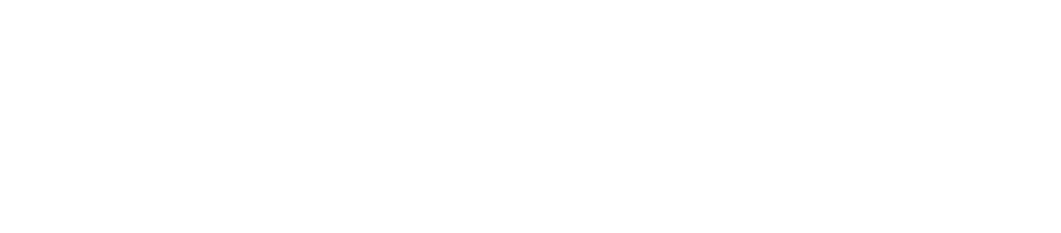 SparkWise_RGB_Logo_Lockup_White
